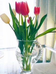 tulips-in-pitcher-vase